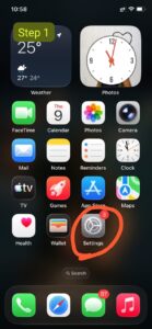 How to Reset iPhone